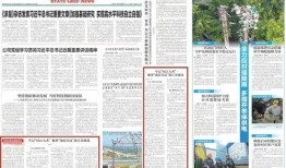 电网领导爆料新闻报道范文,新闻报道背后的真相与启示