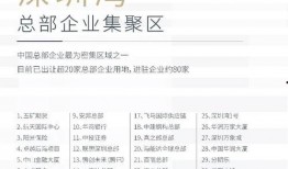 深圳爆料大事件视频,揭秘城市热点背后的真相